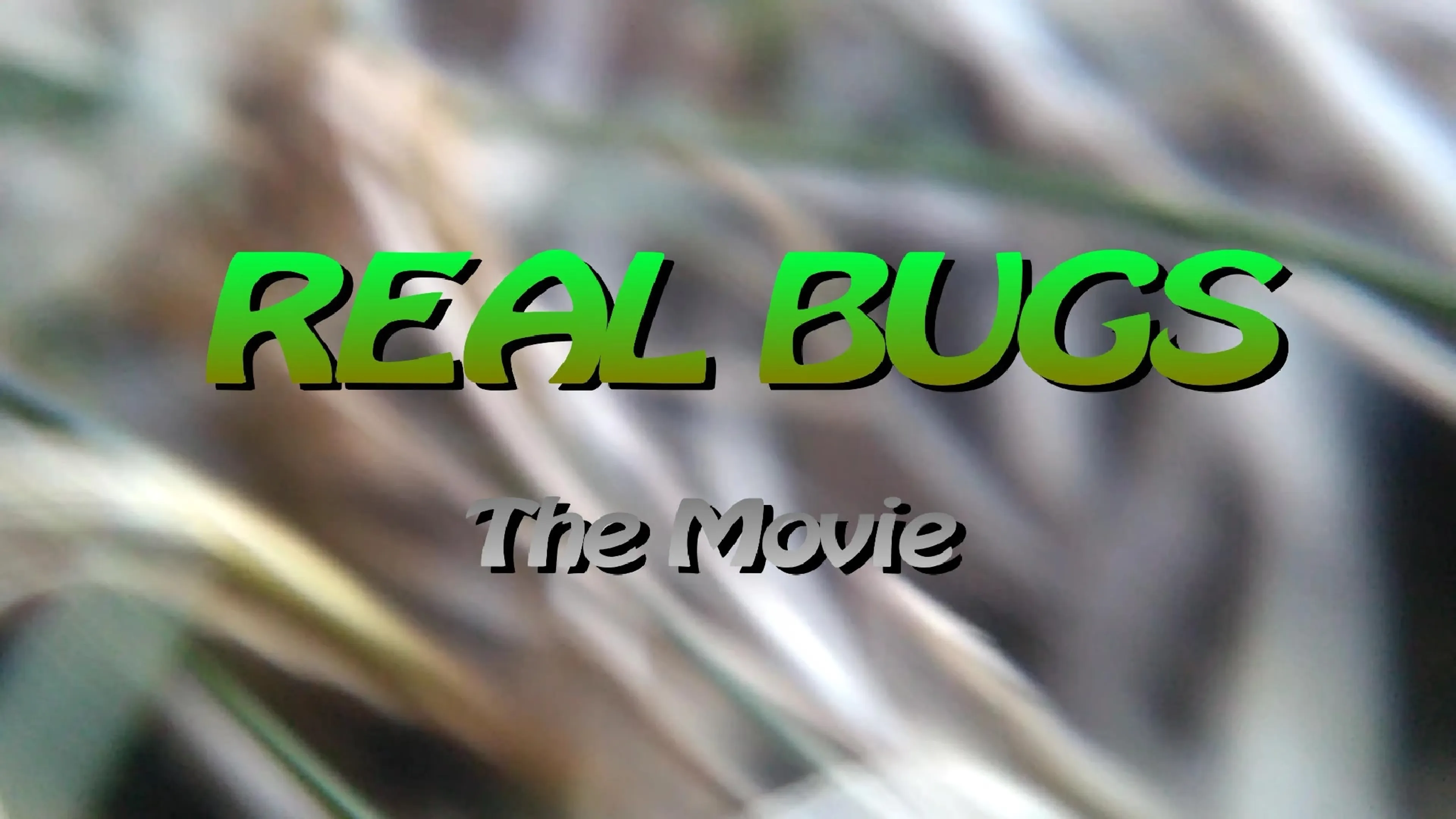 Real Bugs: The Movie poster